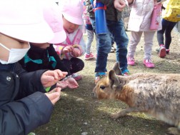 お別れ遠足③