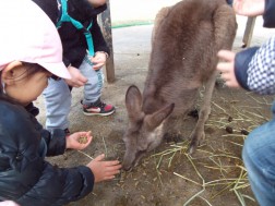 お別れ遠足⑰