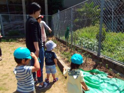 パピー　とても良いお天気で外に出ました