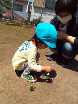 パピー　外に出るといろんな発見があります