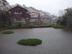 運動場はすっかり池のよう