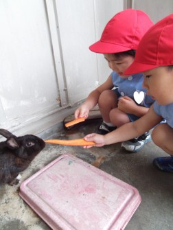 「クロちゃん、食べて」