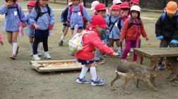 お別れ遠足③