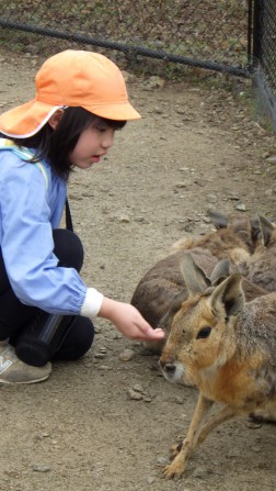 お別れ遠足④