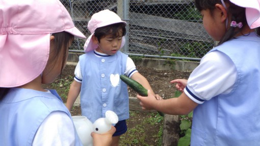 「ホラ、とげとげしてるよ」