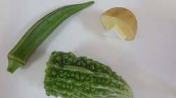 パピー　使うのはお野菜です