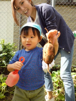 パピー　幼稚園の畑でいもほり④