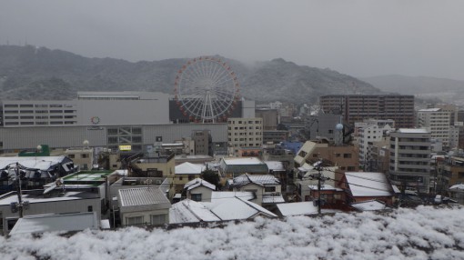 一面の雪景色